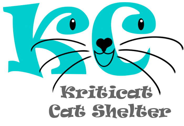 Kriticat logo